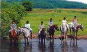 Kinni Valley Riding Academy